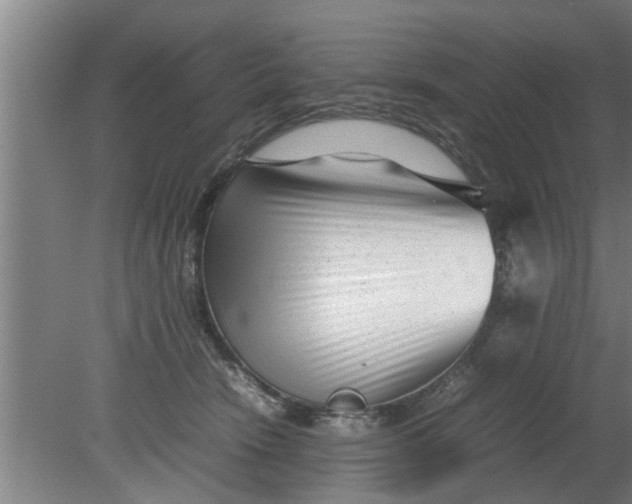 X0000080120466200612221836