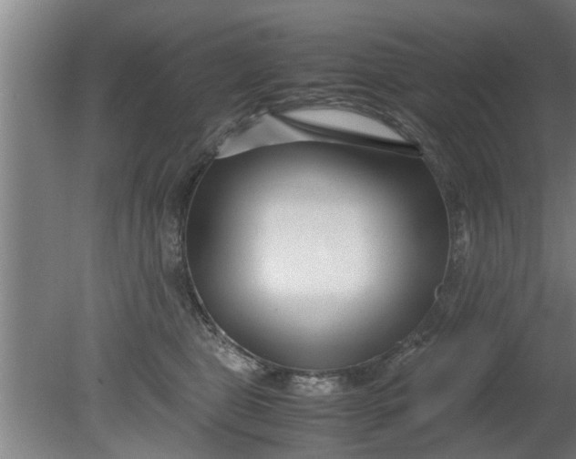 X0000080120469200612221836