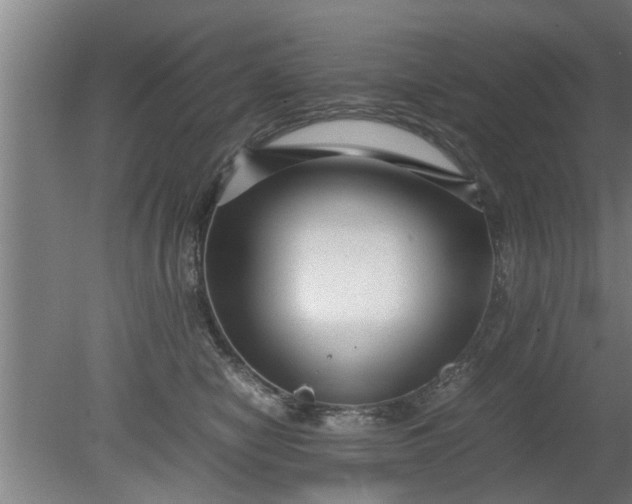X0000080120470200612221836