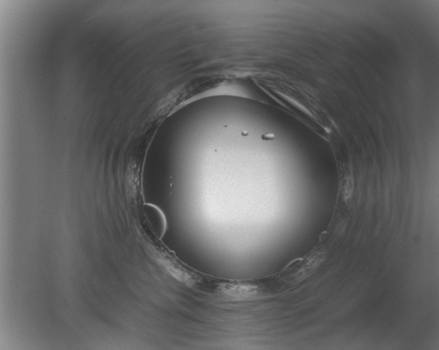 X0000080120476200612221836