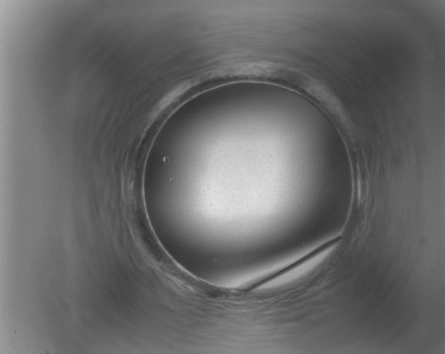 X0000080120483200612221835