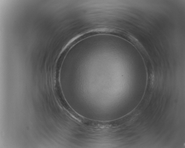 X0000080120484200612221835