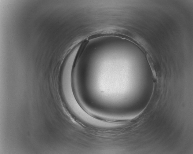 X0000080120485200612221835