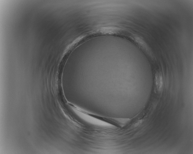 X0000080120492200612221835