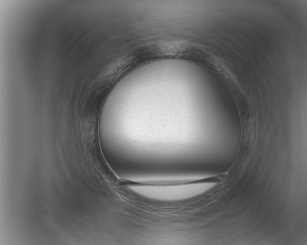 X0000080120505200612221835