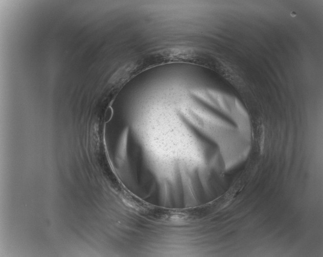 X0000080120506200612221835