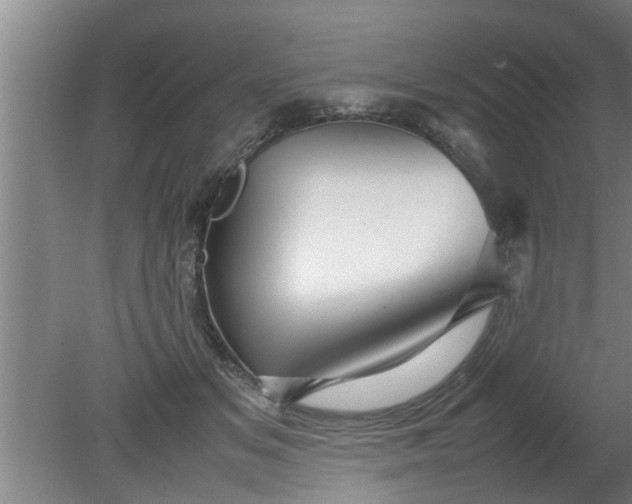 X0000080120509200612221835
