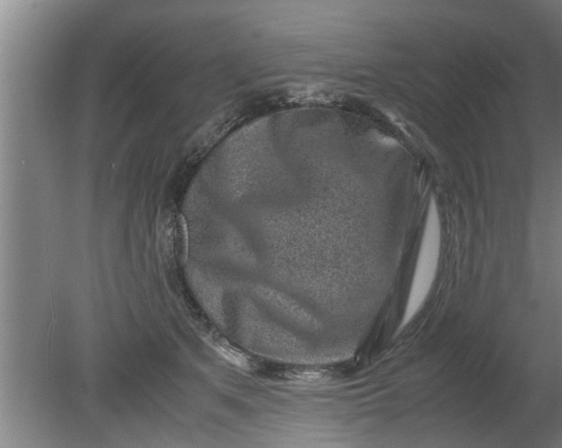 X0000080120513200612221835