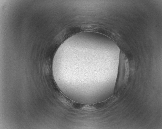 X0000080120515200612221835