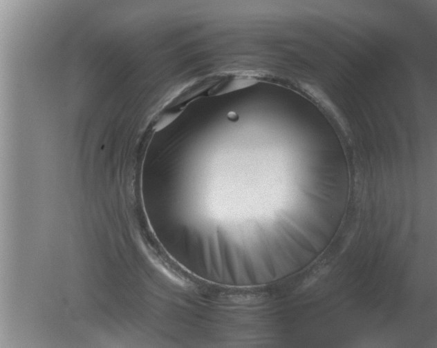 X0000080120533200612221834
