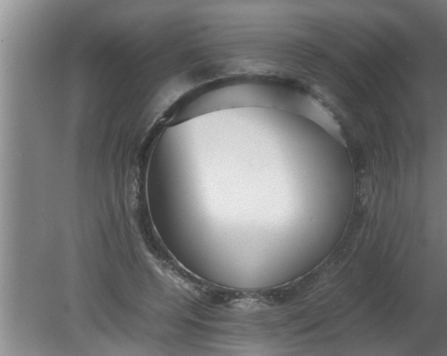 X0000080120544200612221834