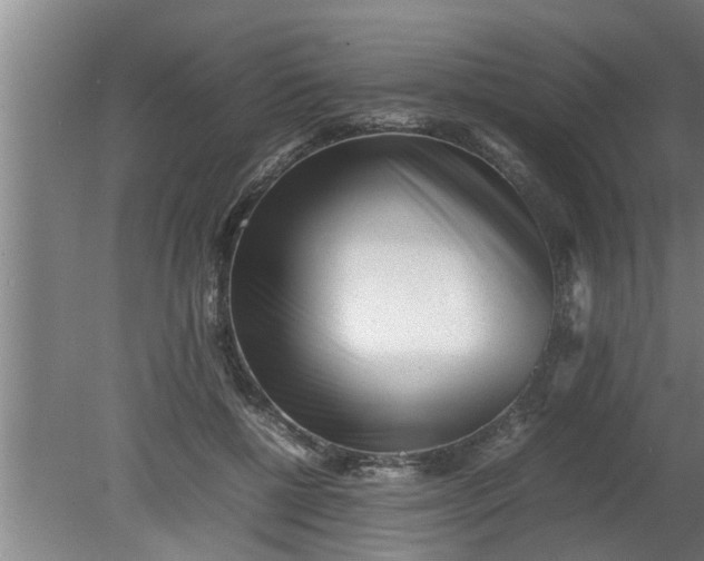 X0000080120552200612221834