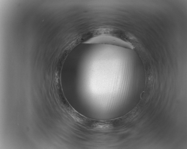 X0000080120555200612221834
