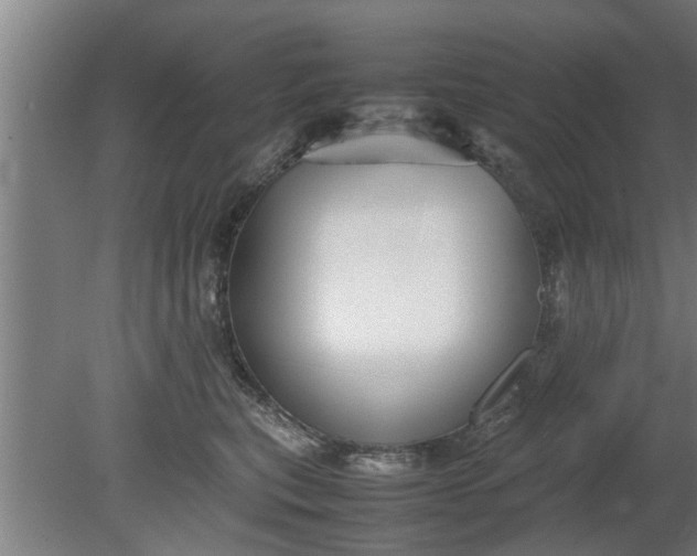 X0000080120567200612221834