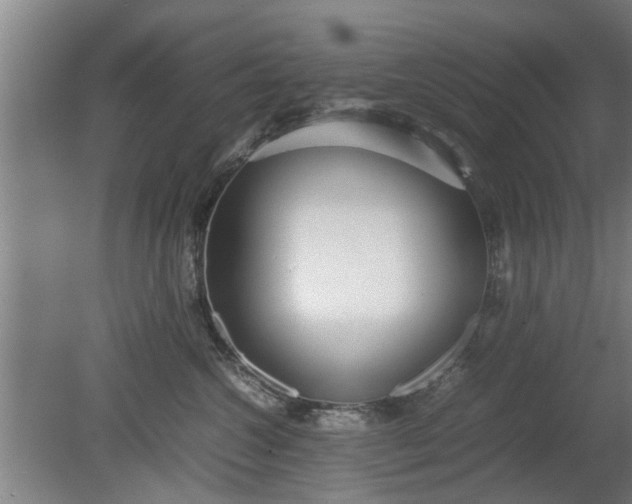X0000080120572200612221834
