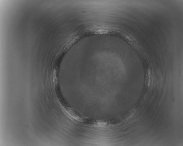 X0000080120598200612221833