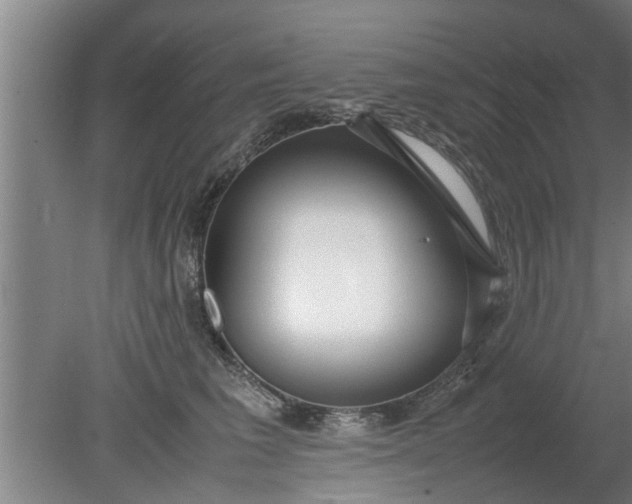 X0000080120613200612221833