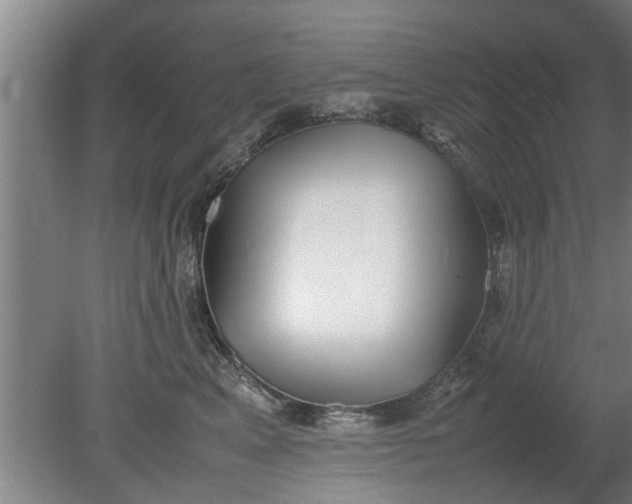 X0000080120617200612221833