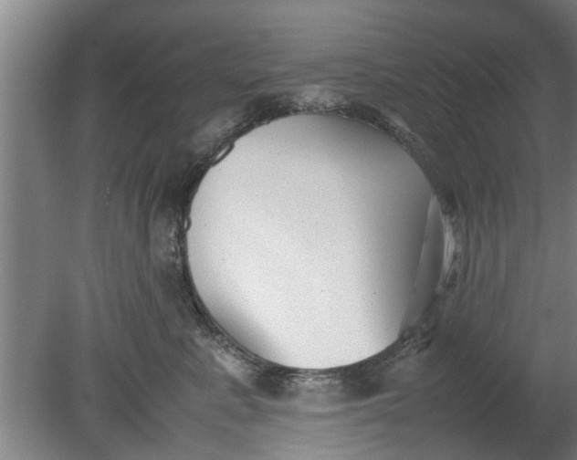 X0000080120619200612221833