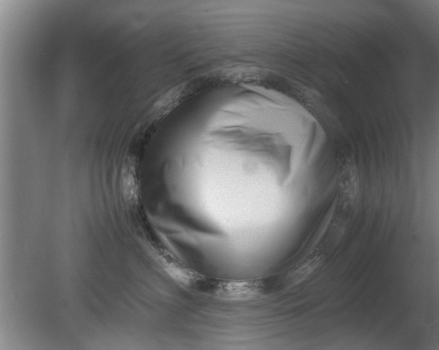 X0000080120622200612221833