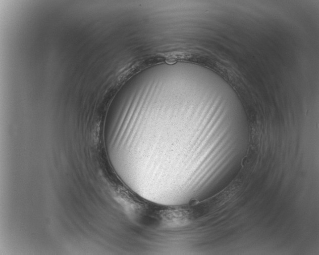 X0000080120652200612221832
