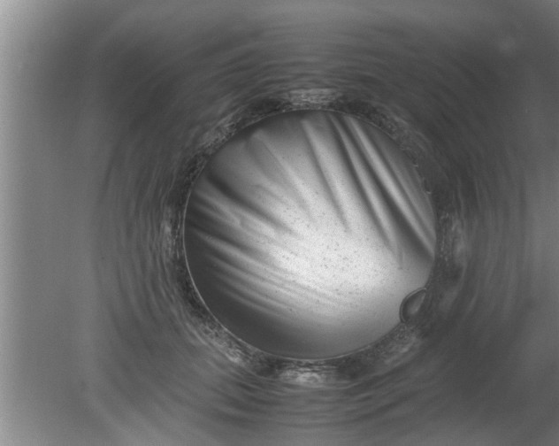 X0000080120655200612221832