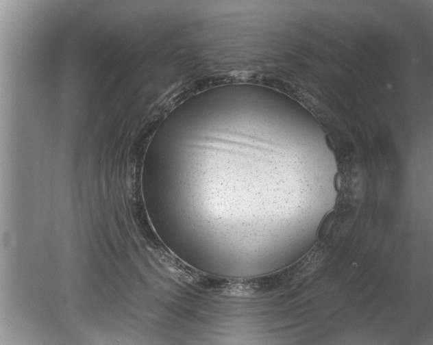 X0000080120656200612221832