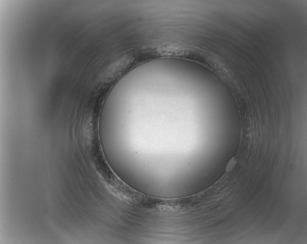 X0000080120690200612221832