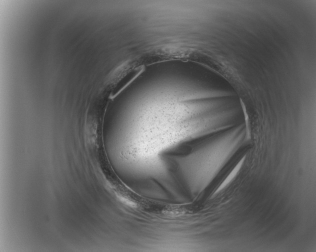 X0000080120693200612221832