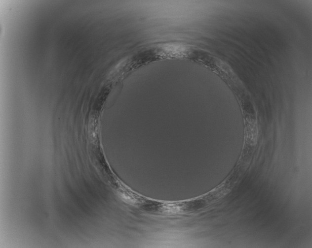 X0000080120701200612221831