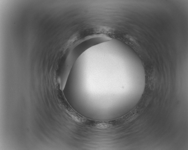 X0000080120708200612221831