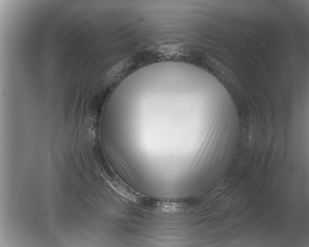 X0000080120710200612221831