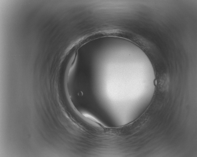 X0000080120732200612221830