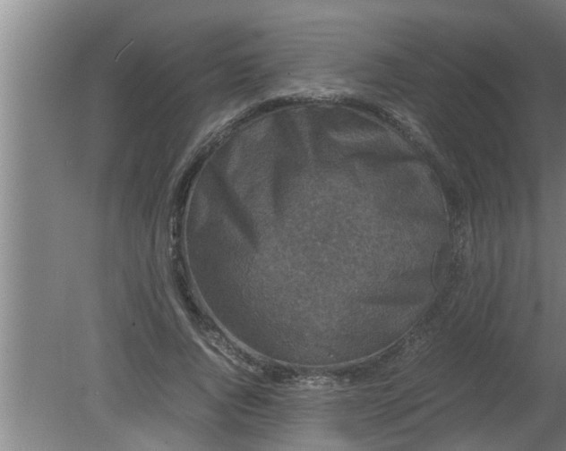 X0000080120736200612221831