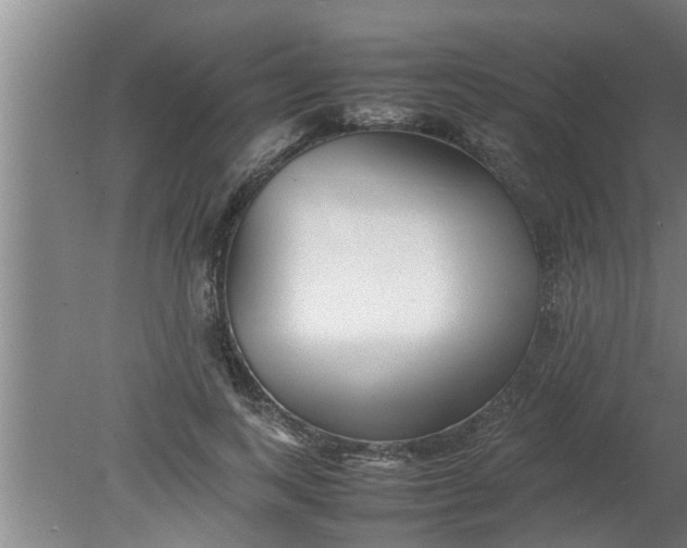 X0000080120743200612221831
