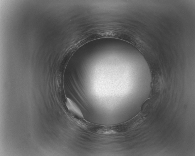 X0000080120747200612221831