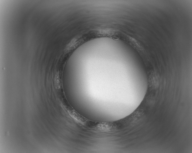 X0000080120764200612221831