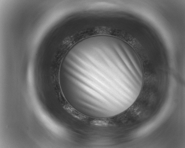 X0000080120765200612221831
