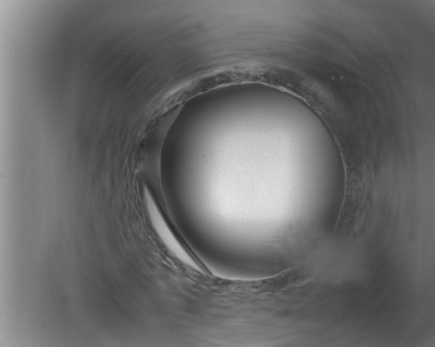 X0000080120773200612221830