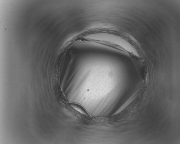 X0000080120775200612221830