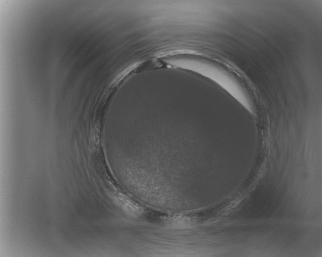 X0000080120785200612221830