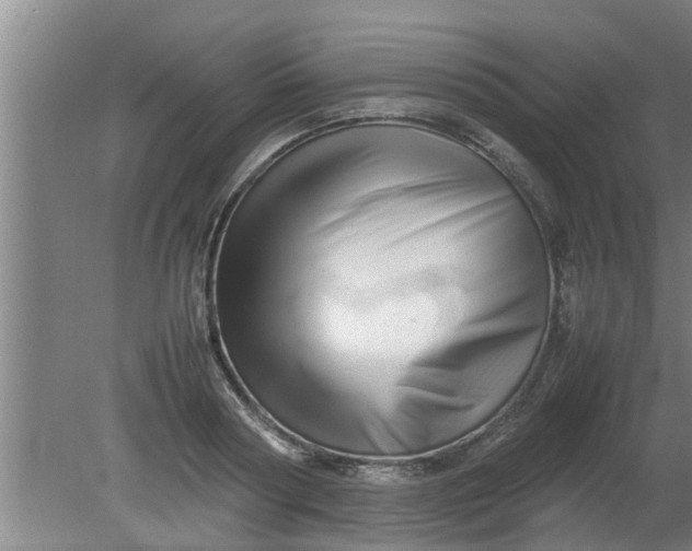 X0000080120794200612221830