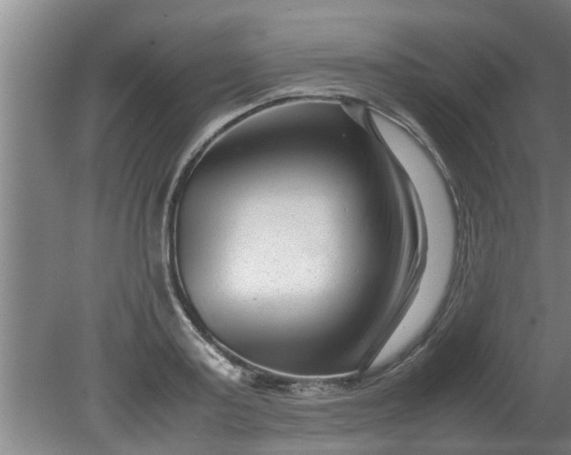 X0000080120795200612221830