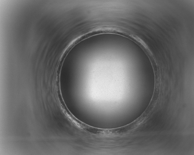 X0000080120799200612221830