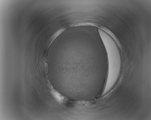X0000080120809200612221830