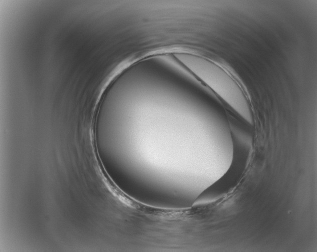 X0000080120813200612221830