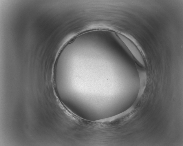 X0000080120815200612221830