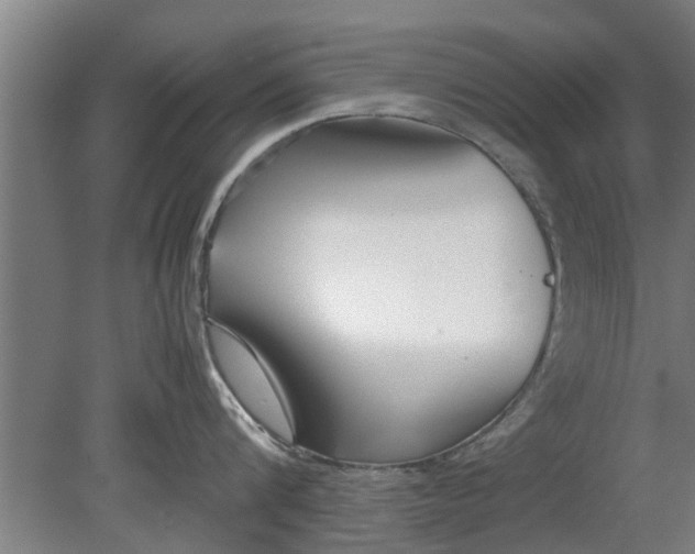 X0000080120816200612221829