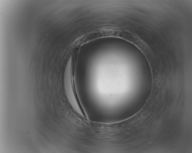 X0000080120821200612221829