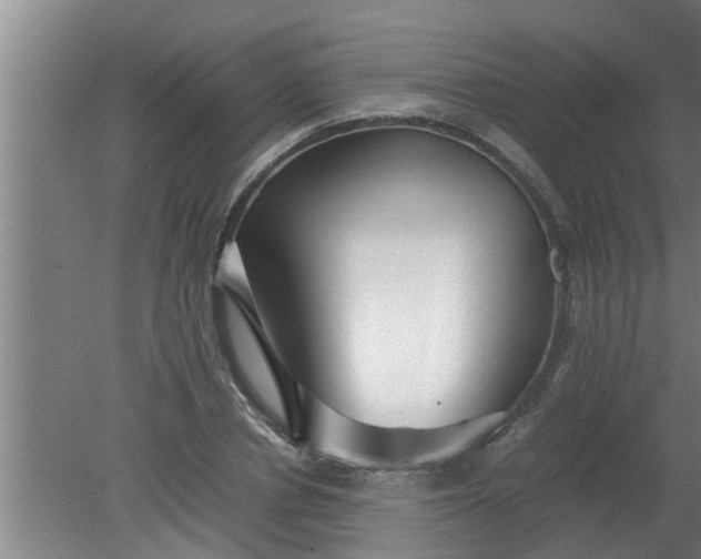X0000080120834200612221829